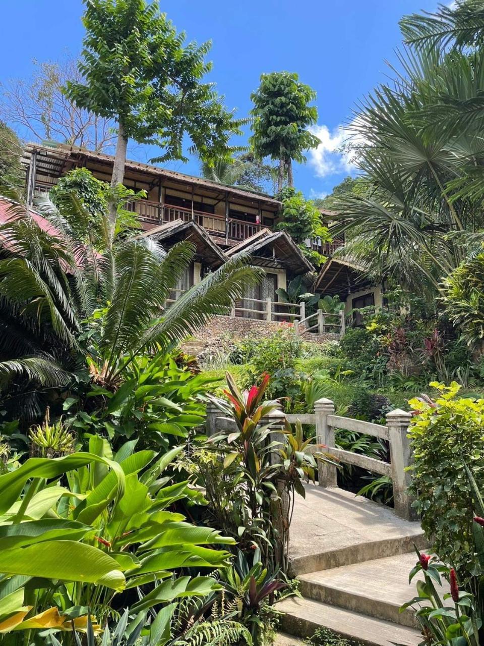 Novie'S Tourist Inn El Nido Zewnętrze zdjęcie